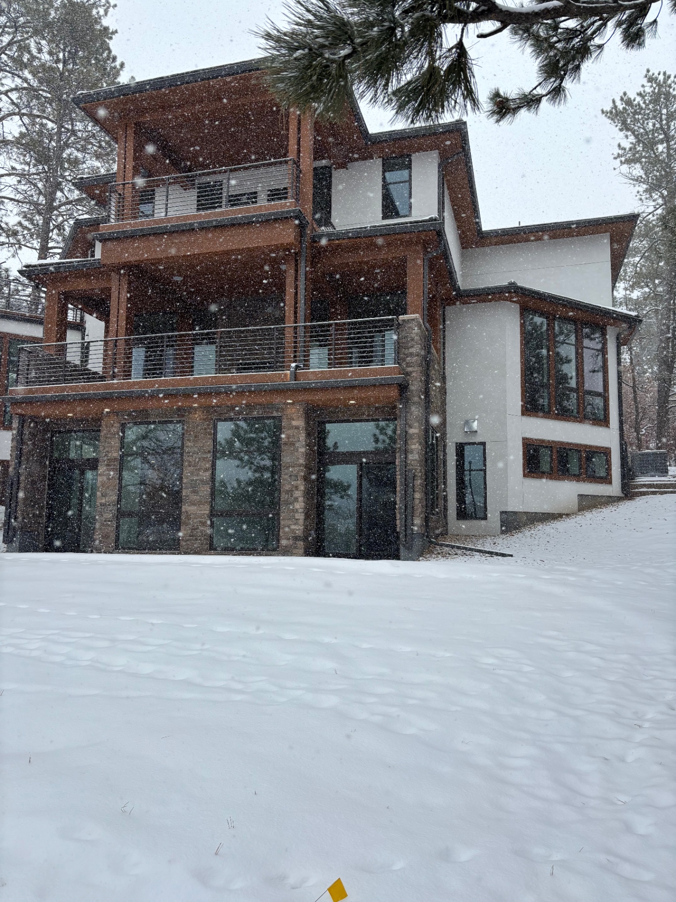 Alpine Modern Home